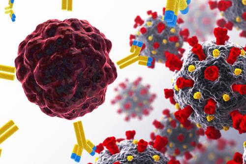 کووید-19، راهنمای محققان برای درمان های جدید سرطان